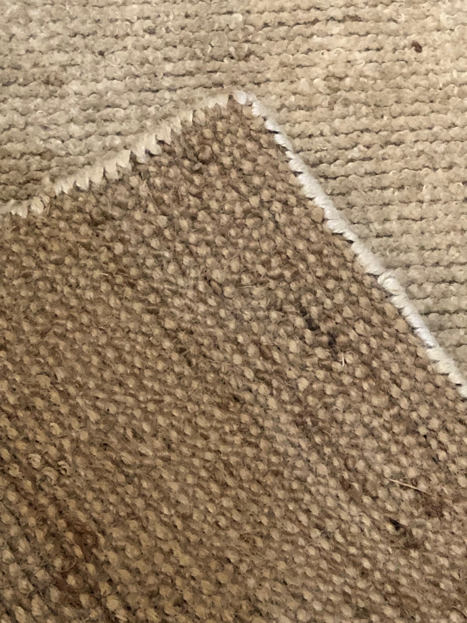 38164 Ziegler & Co. Organic Rug