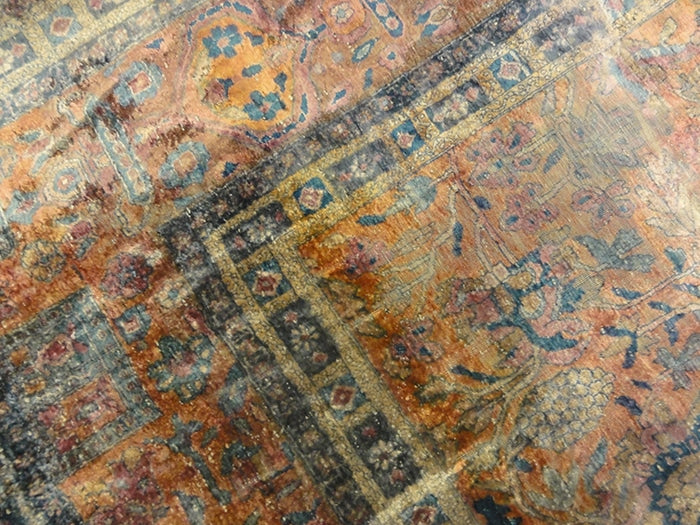 Mohtasham Kashan | Rugs & More | Oriental Carpets