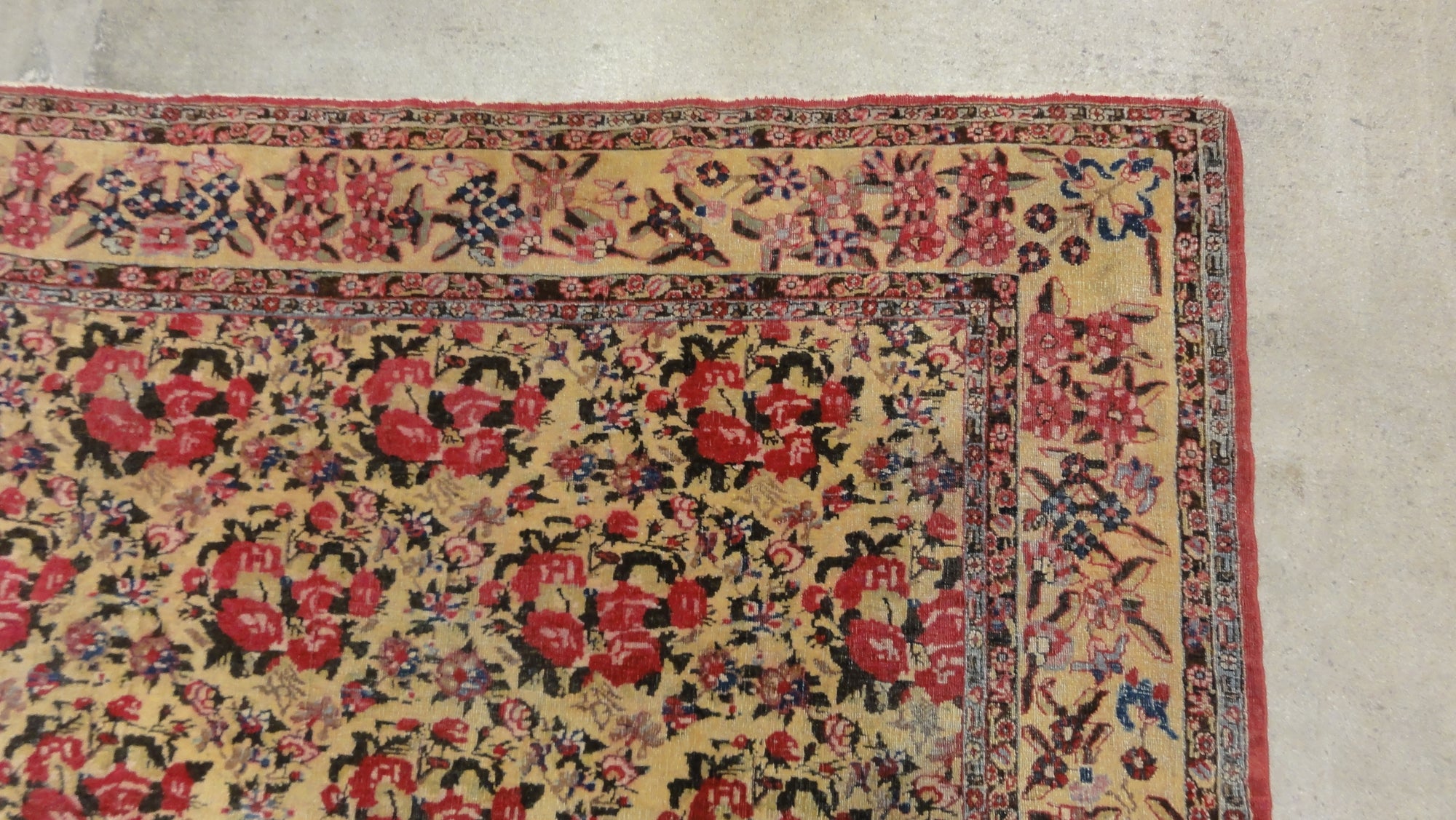 Kerman Rare French Flower 34115