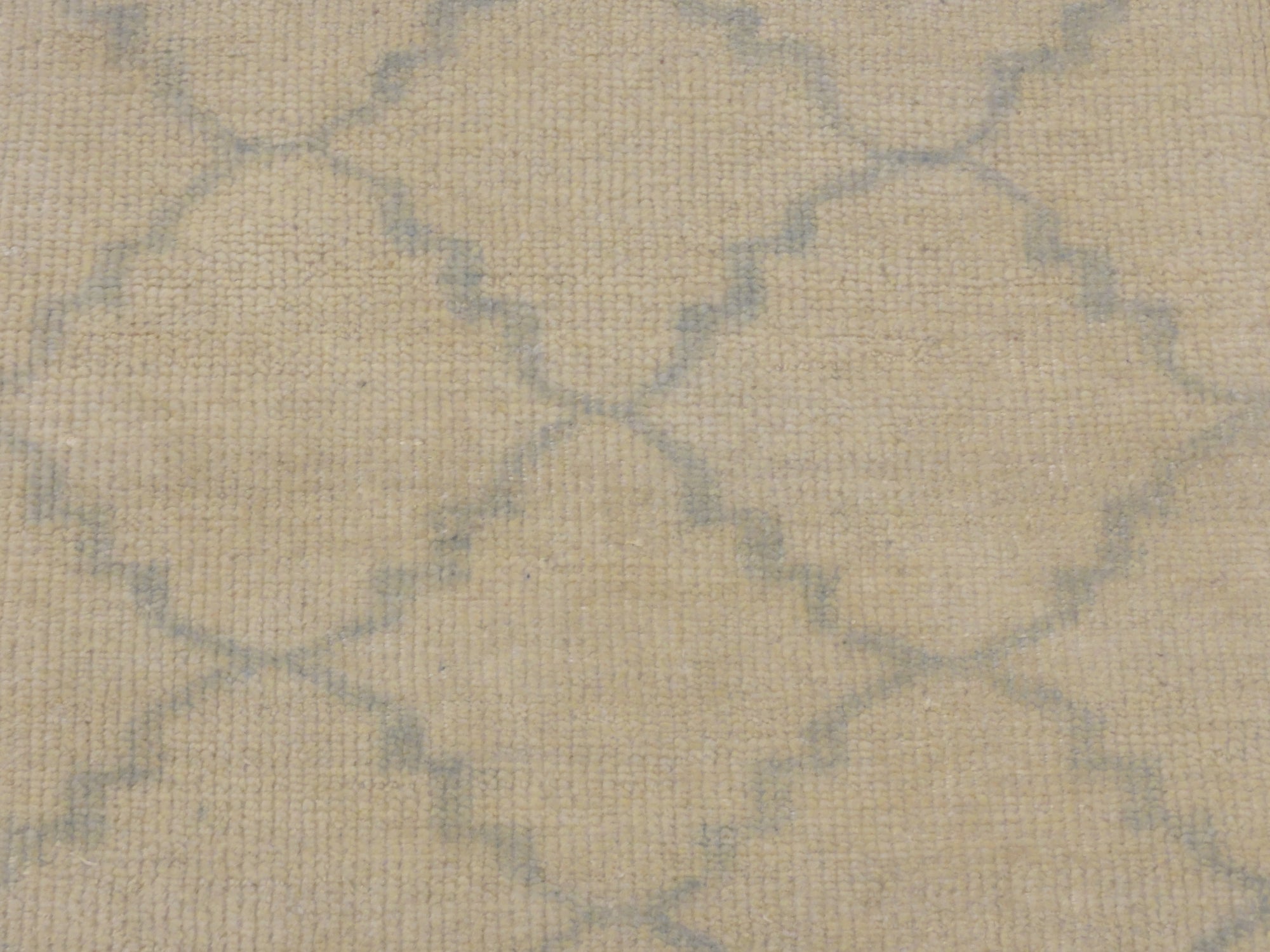 30473 Blue and Beige Fine Modern Trellised Rug
