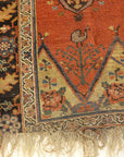 31720 Early Bijar Wagireh Sampler Rug