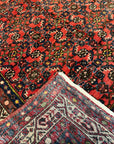 Hamadan Rug 25350