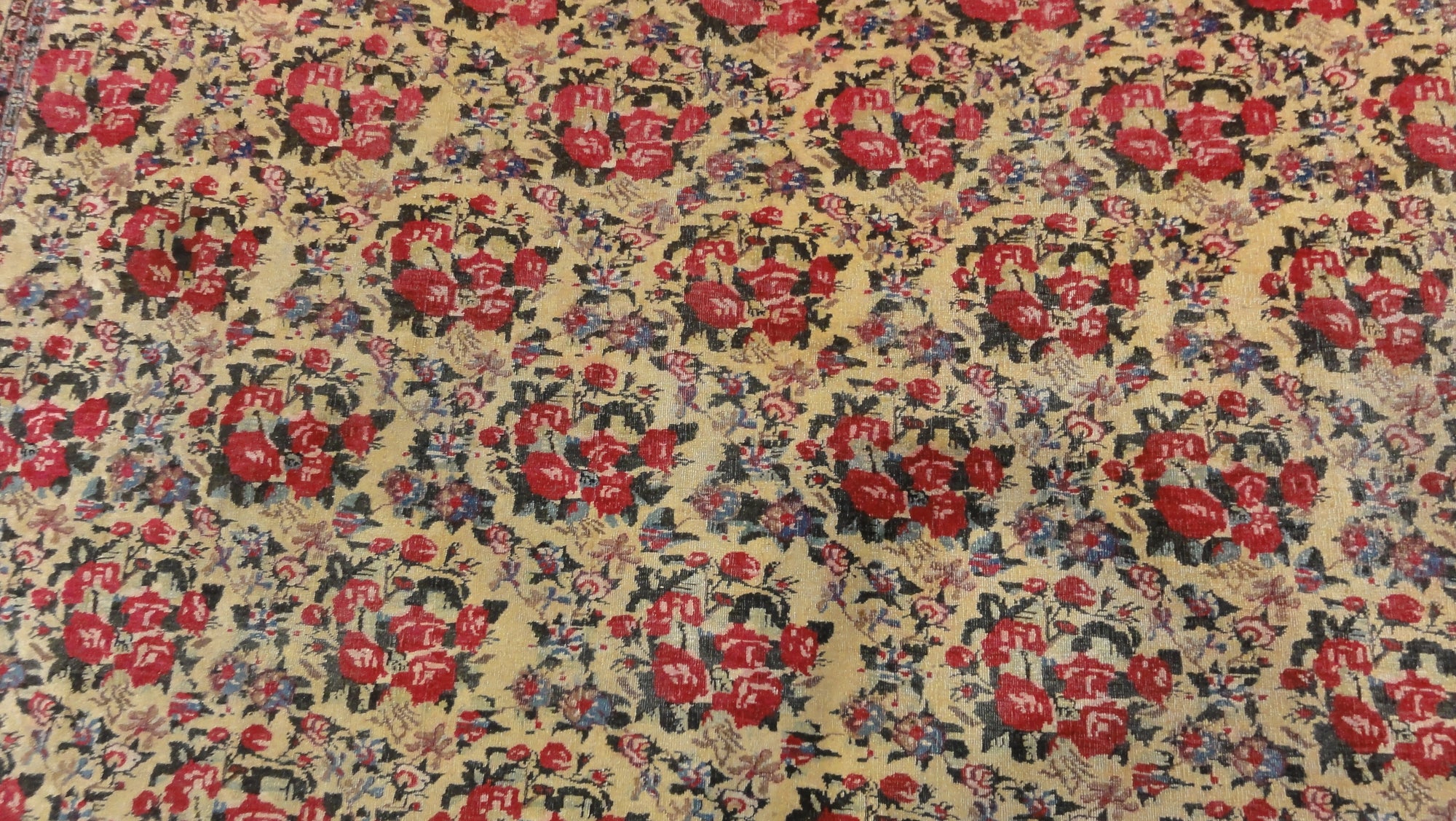 Kerman Rare French Flower 34115