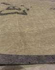 Chinese Scroll Rugs & More