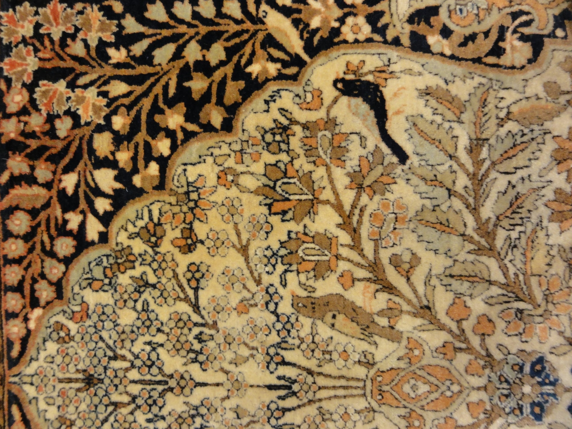 Mohtasham 29237