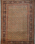 Ziegler & Co Sultanabad rugs and more oriental carpet 34123-