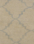 Blue and Beige Fine Modern Trellised Rug