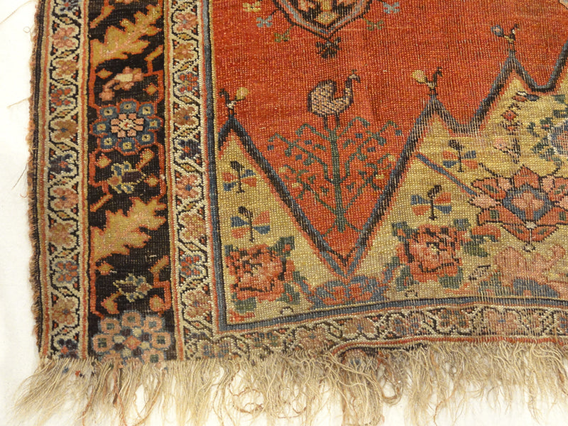 31720 Early Bijar Wagireh Sampler Rug