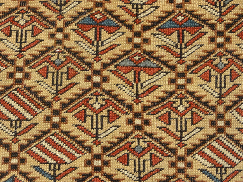 30820  Antique Shirvan Fine Prayer Rug