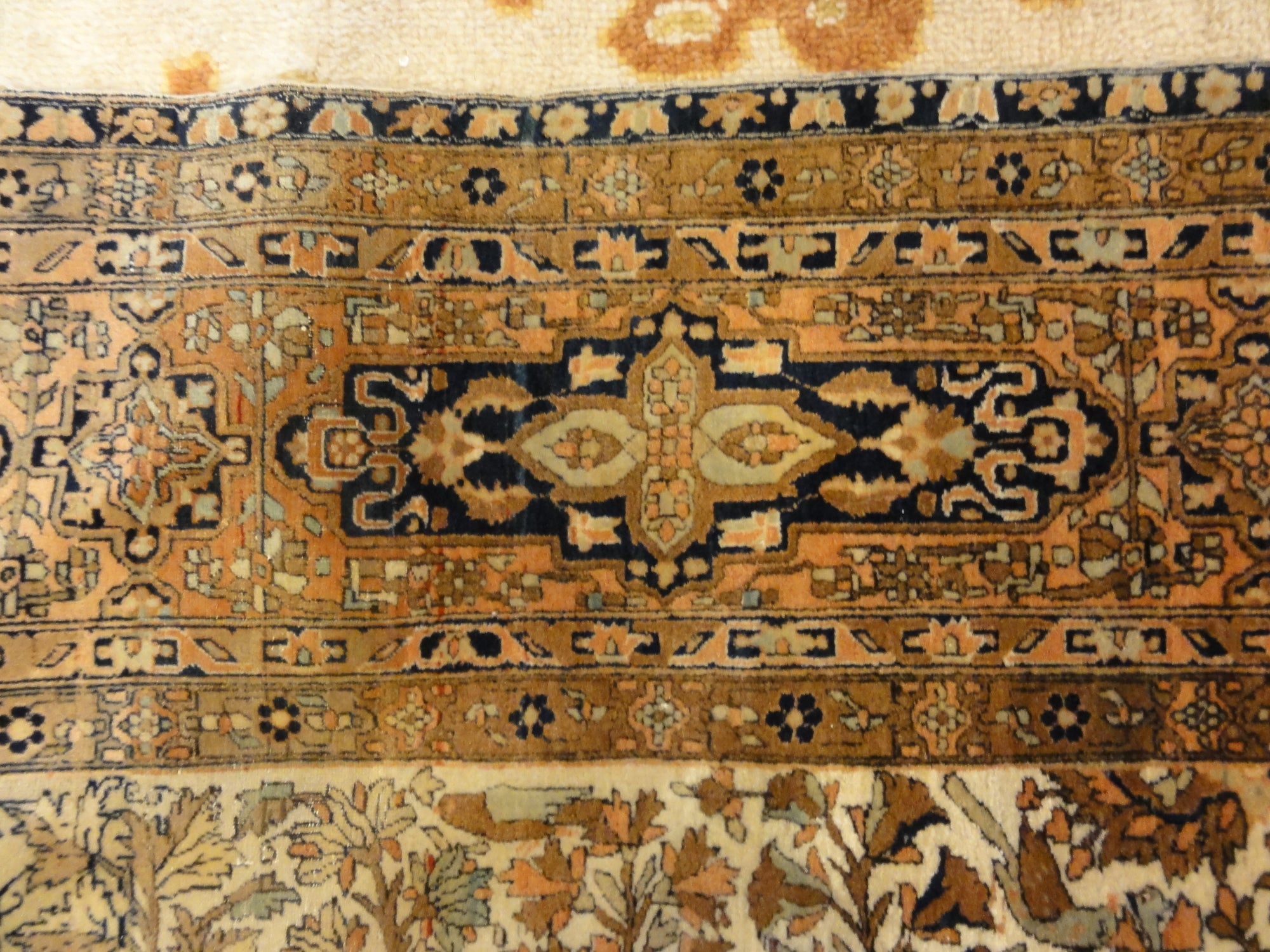Mohtasham 29237