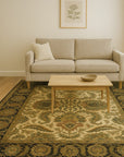 Agra Rug 25284