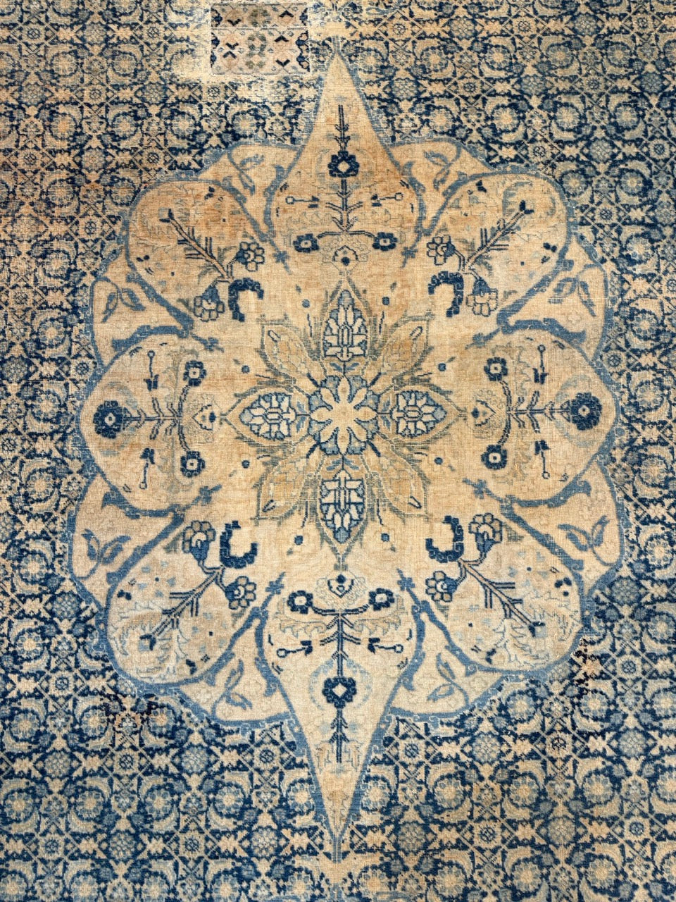 Tabriz Haj Jalili 24542