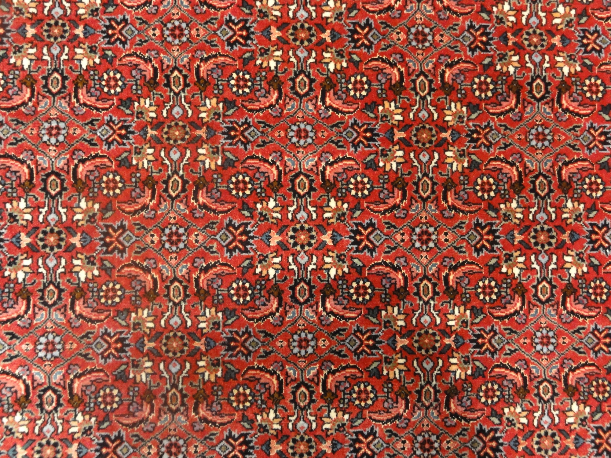 Persian Bijar Taghavi : Rugs & More : Santa Barbara Design Center