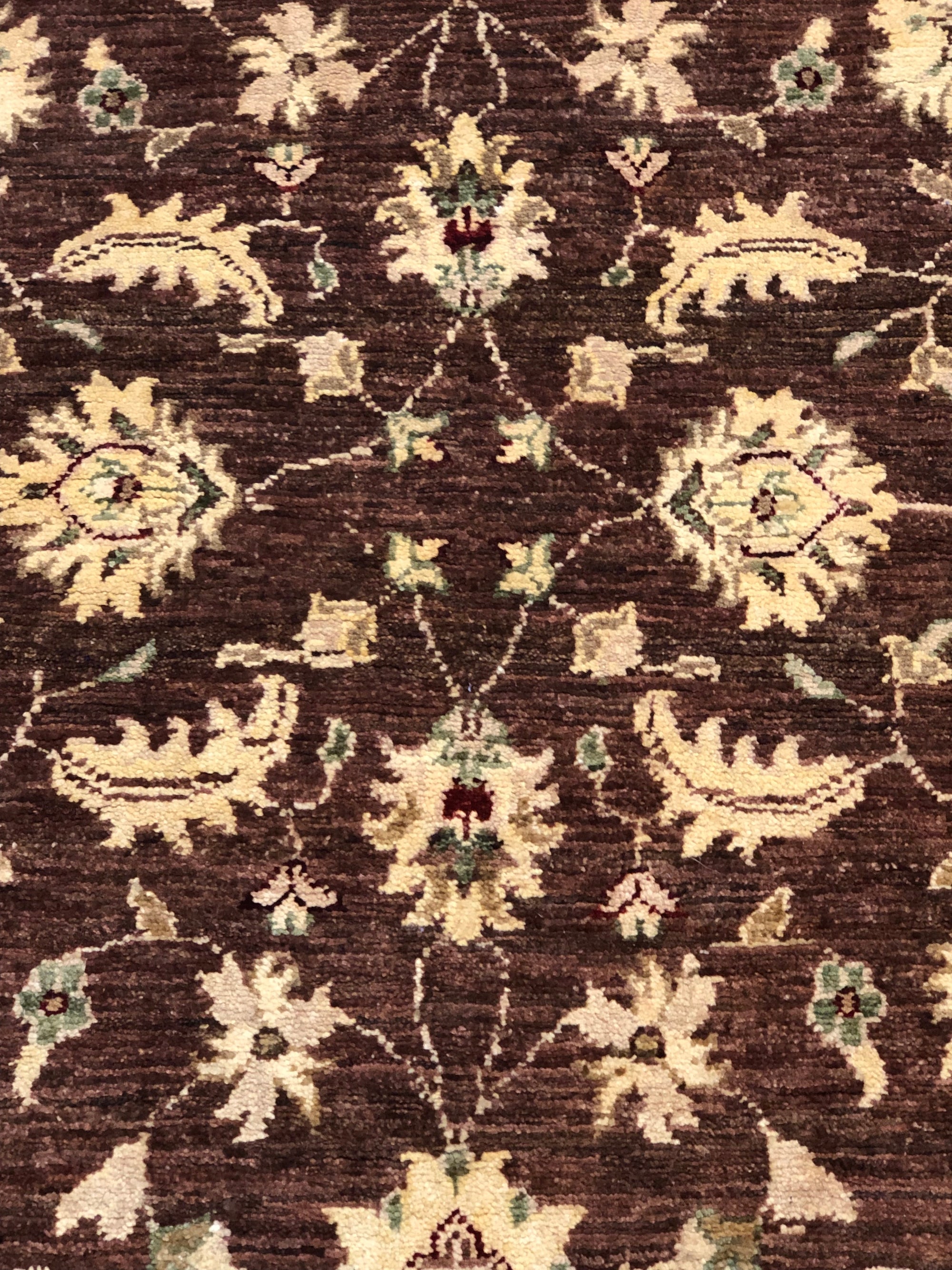 Ziegler & Co Usak- Rugs & More