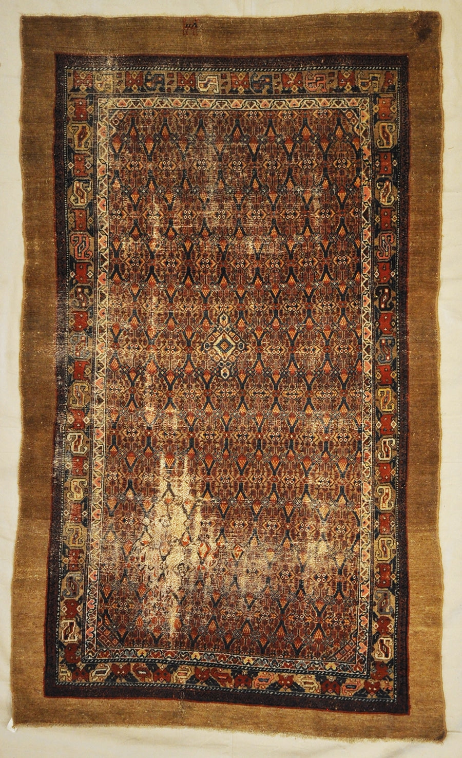 Antique Sarab | Rugs & More | Oriental Carpets