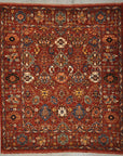 Tribal ziegler & co rugs and more oriental carpet 33964-