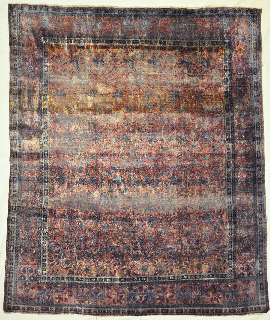 Mohtasham Kashan | Rugs & More | Oriental Carpets